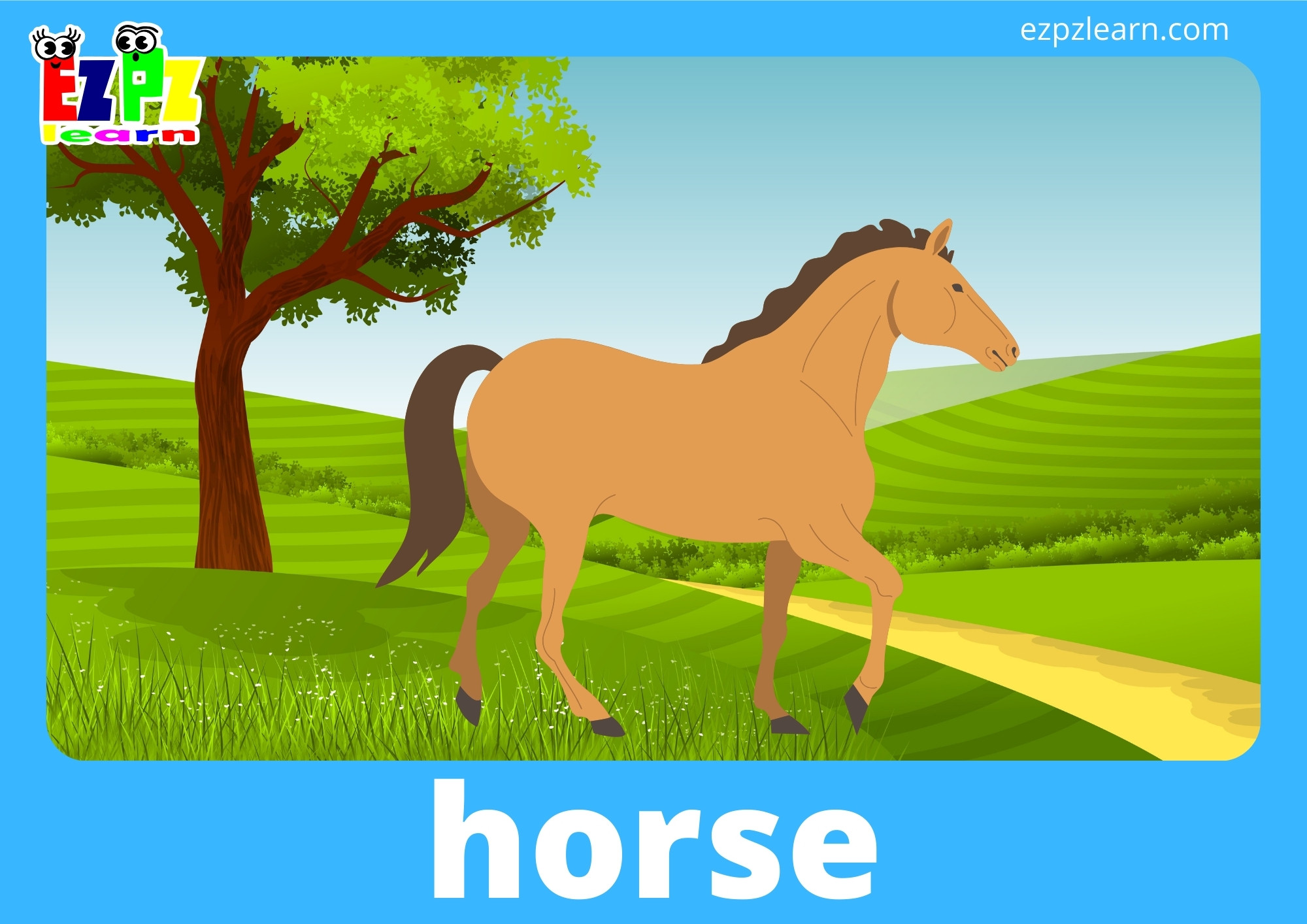 horse